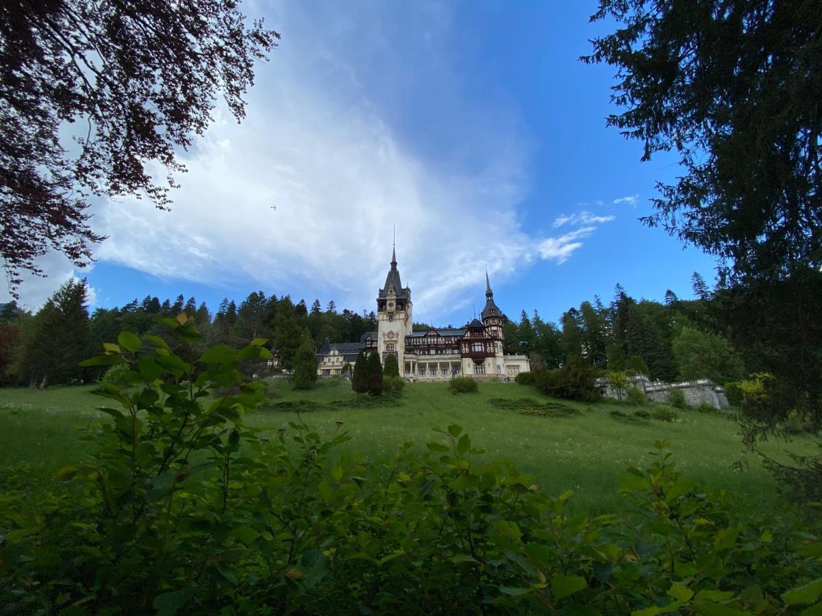 Vila De Argint Aleea Pelesului Nr 2 Sinaia Ngoại thất bức ảnh