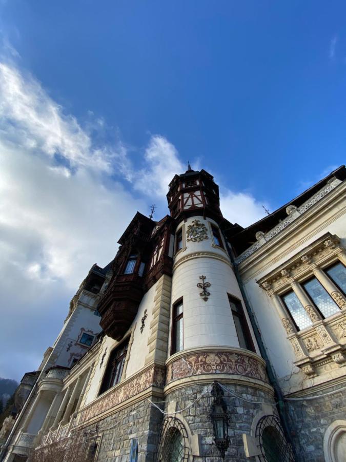 Vila De Argint Aleea Pelesului Nr 2 Sinaia Ngoại thất bức ảnh