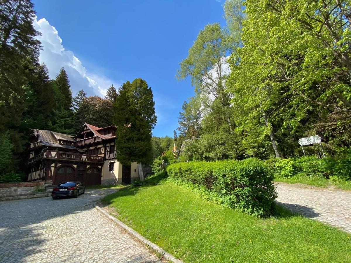 Vila De Argint Aleea Pelesului Nr 2 Sinaia Ngoại thất bức ảnh