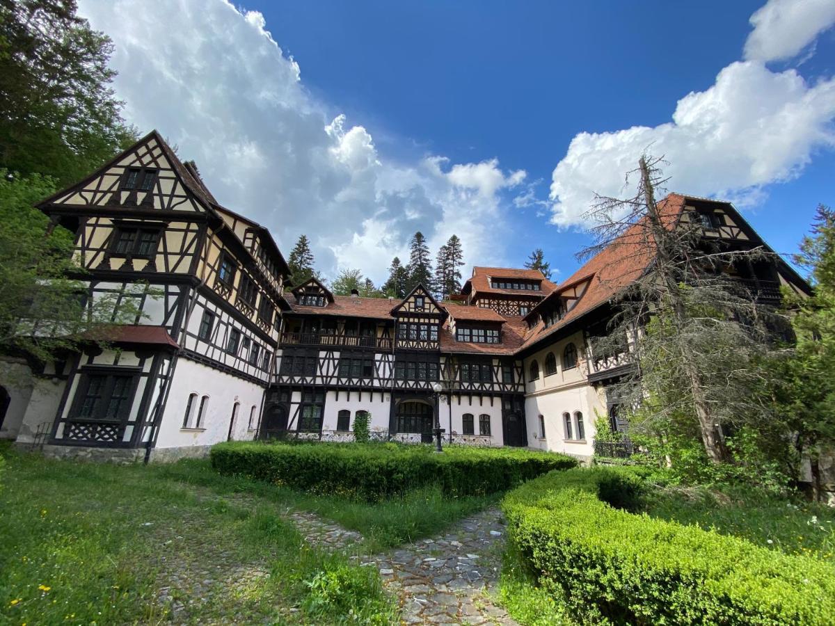 Vila De Argint Aleea Pelesului Nr 2 Sinaia Ngoại thất bức ảnh