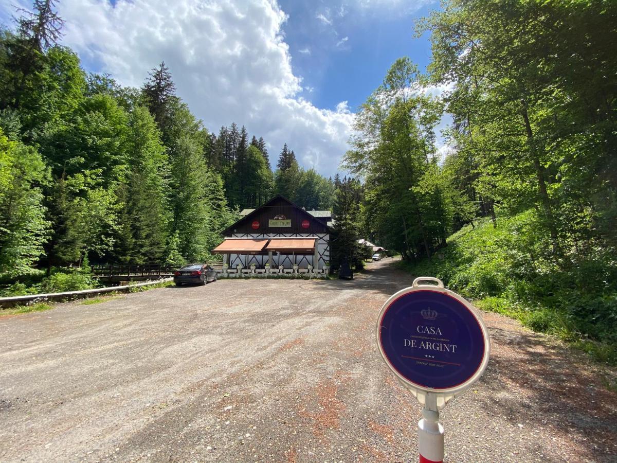 Vila De Argint Aleea Pelesului Nr 2 Sinaia Ngoại thất bức ảnh