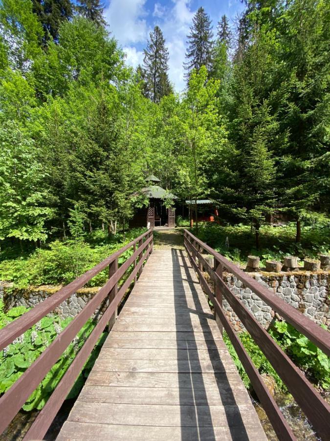 Vila De Argint Aleea Pelesului Nr 2 Sinaia Ngoại thất bức ảnh