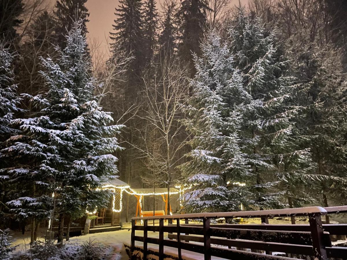 Vila De Argint Aleea Pelesului Nr 2 Sinaia Ngoại thất bức ảnh