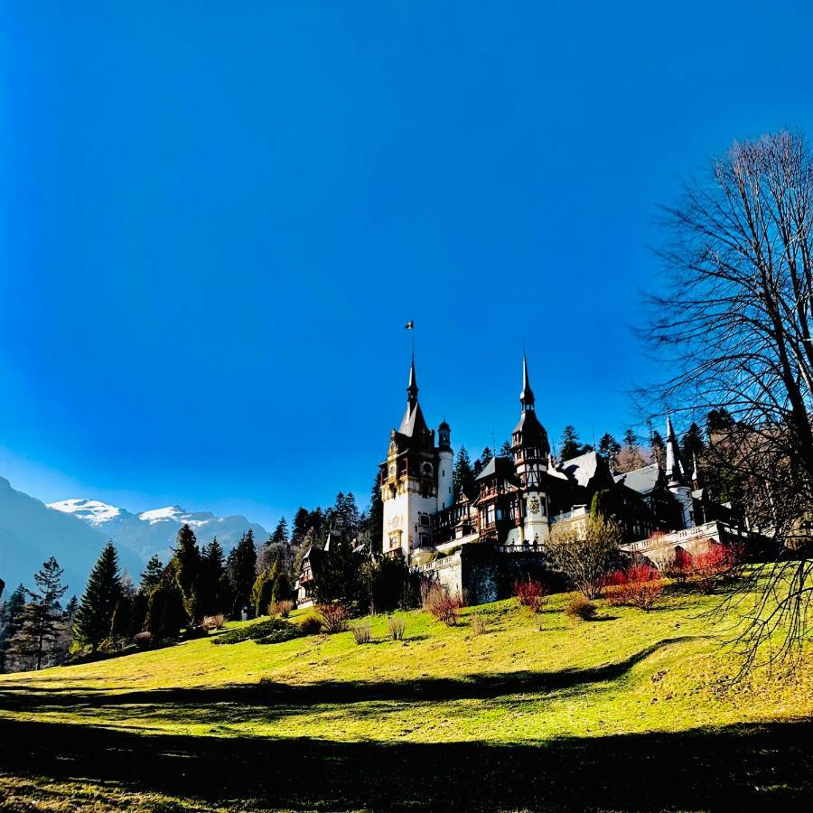 Vila De Argint Aleea Pelesului Nr 2 Sinaia Ngoại thất bức ảnh