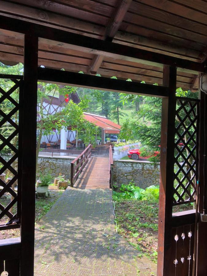 Vila De Argint Aleea Pelesului Nr 2 Sinaia Ngoại thất bức ảnh