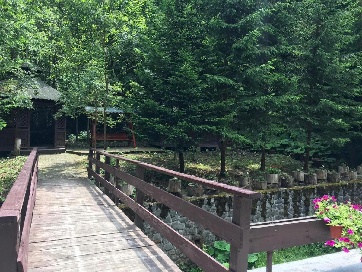 Vila De Argint Aleea Pelesului Nr 2 Sinaia Ngoại thất bức ảnh